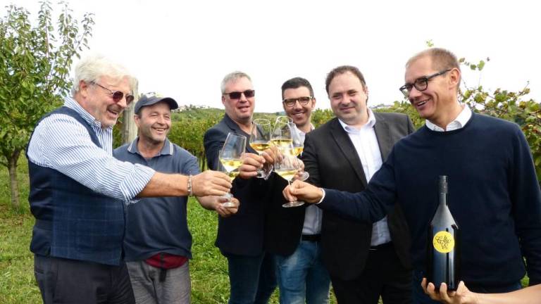 Briška vina osvajajo Tržaški zaliv
