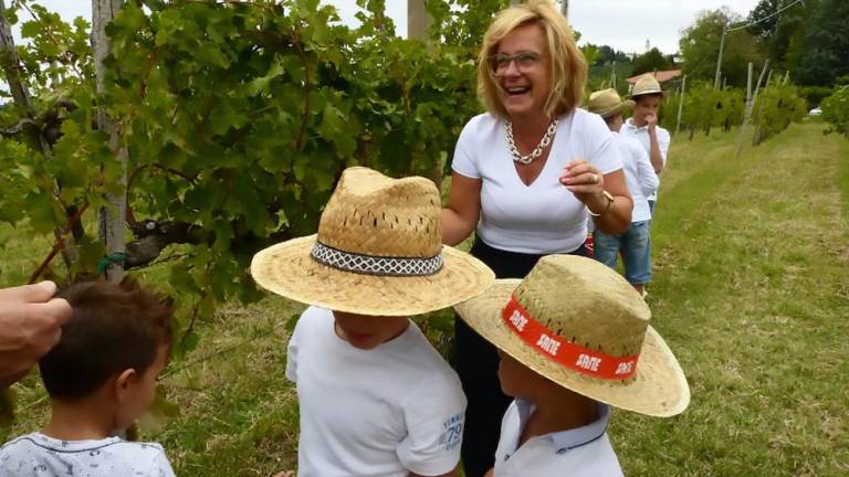 V Števerjanu trgali grozdje za reprezentančno vino