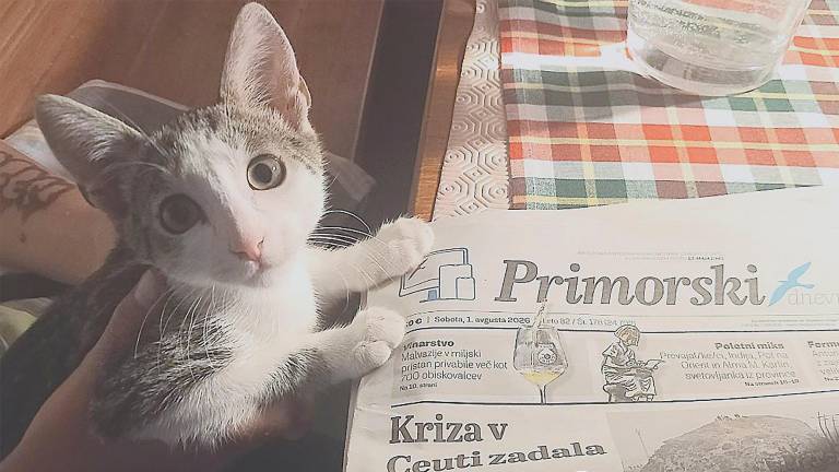 »Joj, kakšne novice prinaša Primorski dnevnik danes zjutraj!« pravi naša Mimì <i>(Mojca Mihalič)</i>