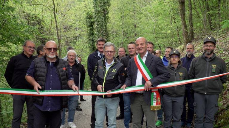 Gojenje kostanjev dobiva novo priložnost