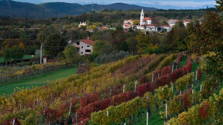 Občina Devin - Nabrežina ne bo mesto vina 2021