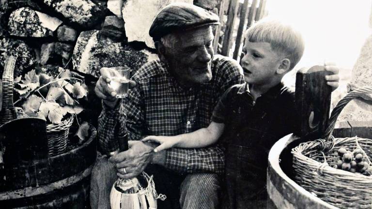 Kraške podobe na razstavi in v dokumentarcu