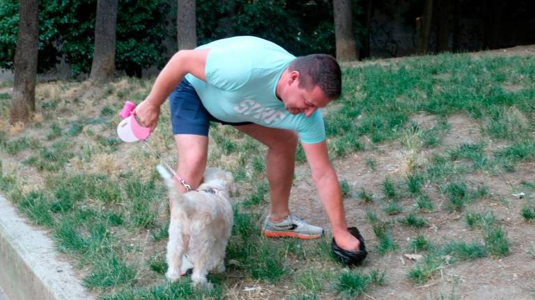 Preveč neolikanih lastnikov psov