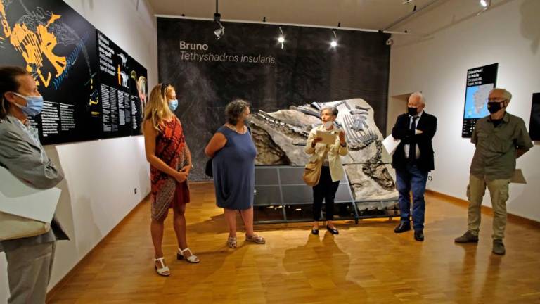 Novi gost naravoslovnega muzeja