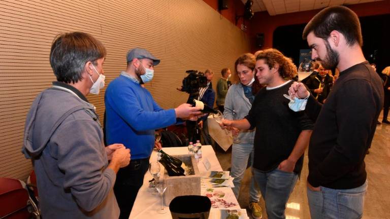 Pokušnja prosekarjev ob sv. Martinu