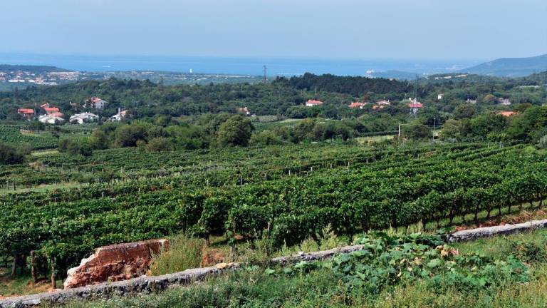 Praprot in vitovska, nerazdružljiva celota