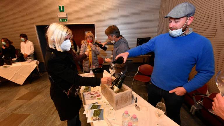 Pokušnja prosekarjev ob sv. Martinu