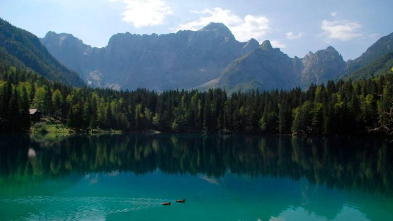 Na Trbiškem našli trupli slovenskih planink