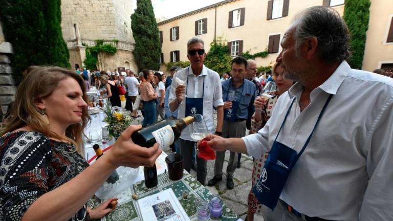 Morje in vitovsko tokrat zaznamujejo vinogradnice (foto)