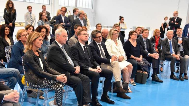 Iz rdečih alg bodo izdelovali želatino agar