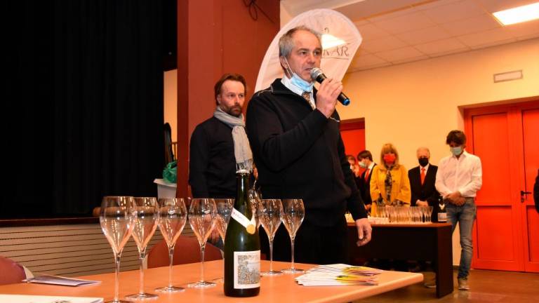 Pokušnja prosekarjev ob sv. Martinu