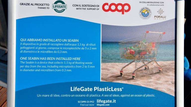 V marini Sv. Justa deluje morski smetnjak