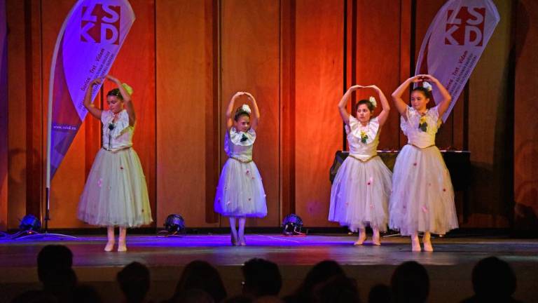 Revija ZSKD Do svobodnega giba