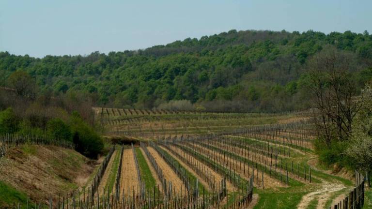 Pričakujeta široko podporo