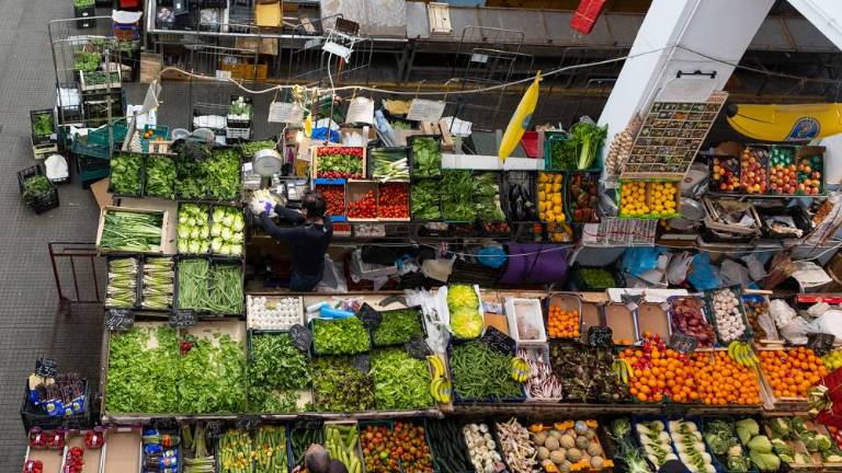 Pokrita tržnica bo postala Muzej okusa