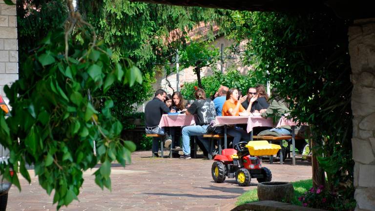 Za osmice ima vsaka občina svoja pravila