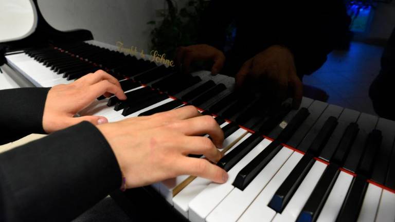 Dežela želi uvesti seznam nedržavnih glasbenih šol