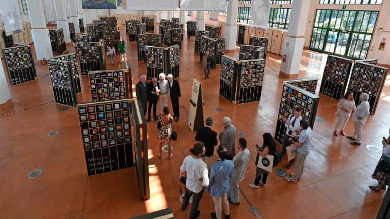 Kulturna strategija oblasti