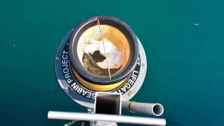 V marini Sv. Justa deluje morski smetnjak