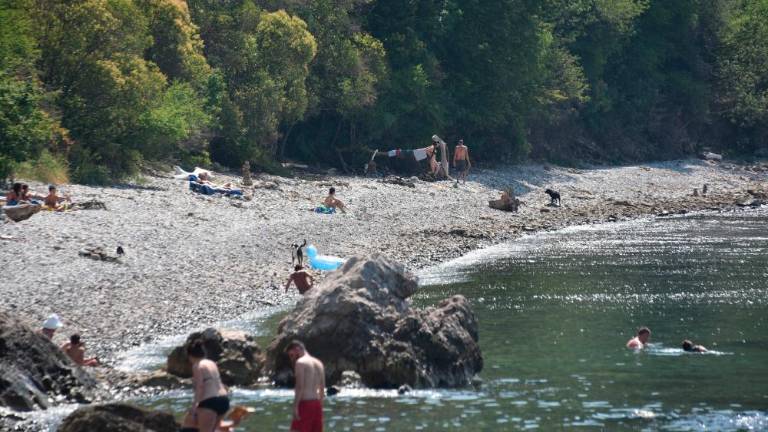 Na plaži Pri čupah odkrili strupeno algo Ostreopsis ovata