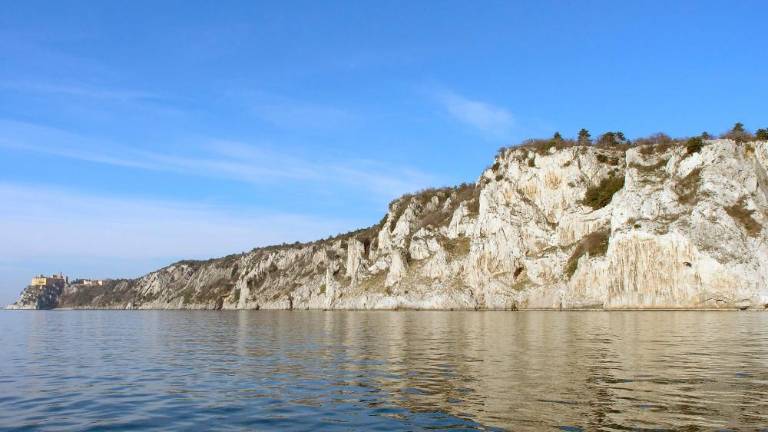 V prelepem okolju bodo spoznavali rastlinstvo in živali