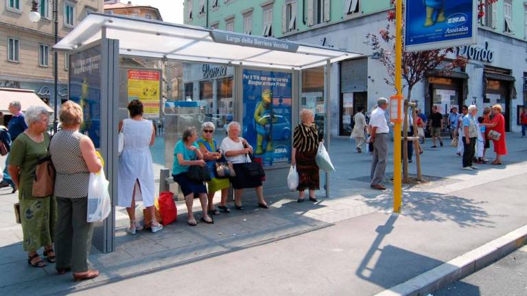 V Trstu vozila polovica avtobusov