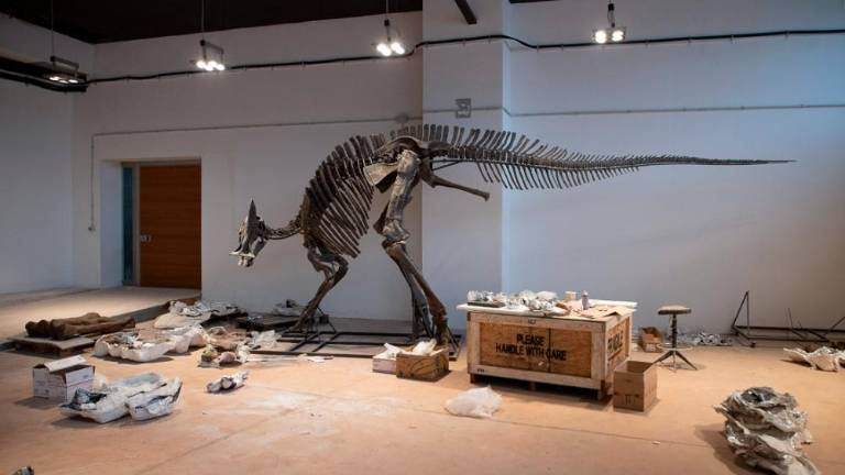 Pravi jurski park v malem