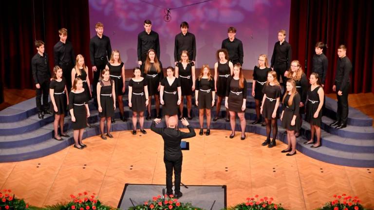 Komelovci »zlati« na Naši pesmi