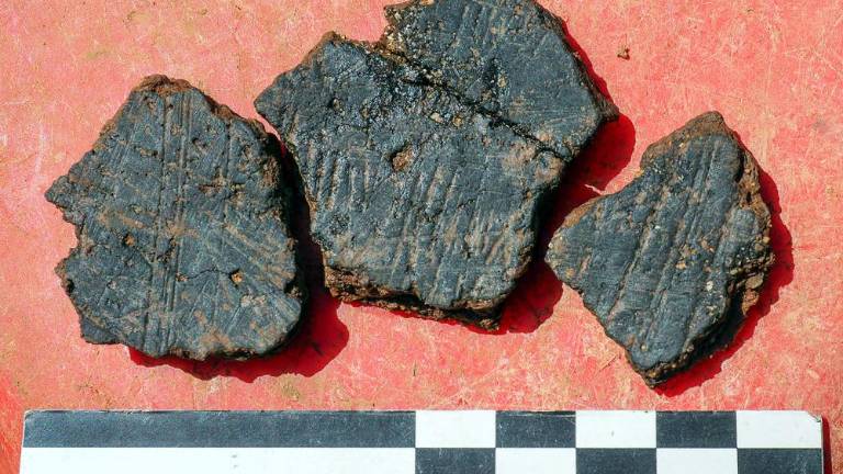 V Tini jami so se najedli ostrig