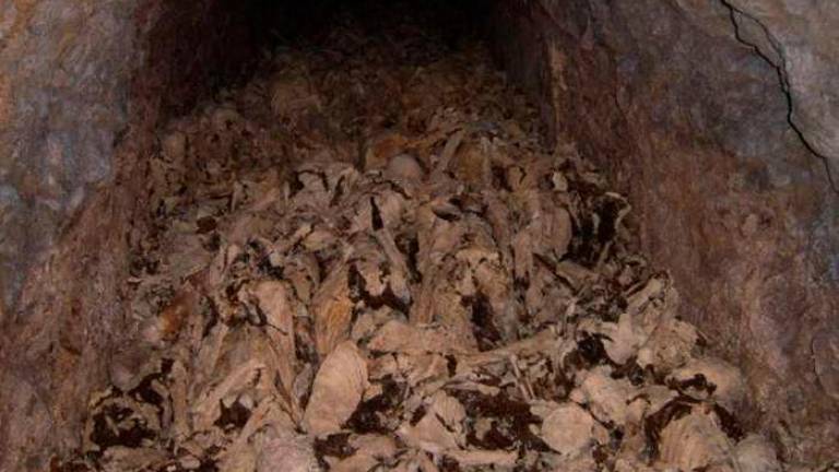 Identificirali posmrtne ostanke iz slovenskega grobišča Konfin 1