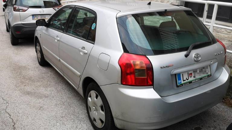 Registrske tablice: »Obmejni prostor naj bo izjema«