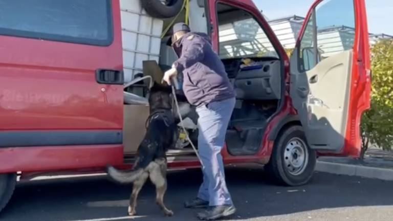 Na nekaterih je bilo preveč tovora, na drugih je bil neustrezno natovorjen