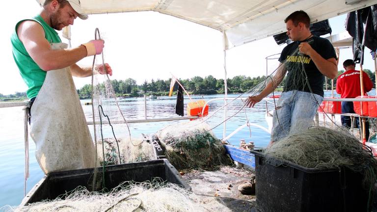 Hrva&scaron;ki ribiči niso prejeli nikakr&scaron;ne kazni iz Slovenije
