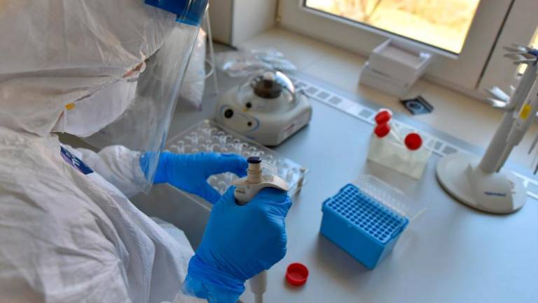 V Sloveniji delež pozitivnih PCR testov 12,9-odstoten