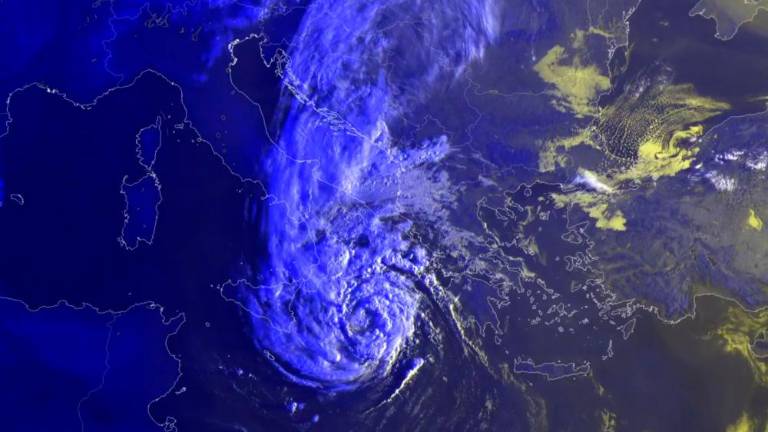 Medikan nad Jonskim morjem (video)