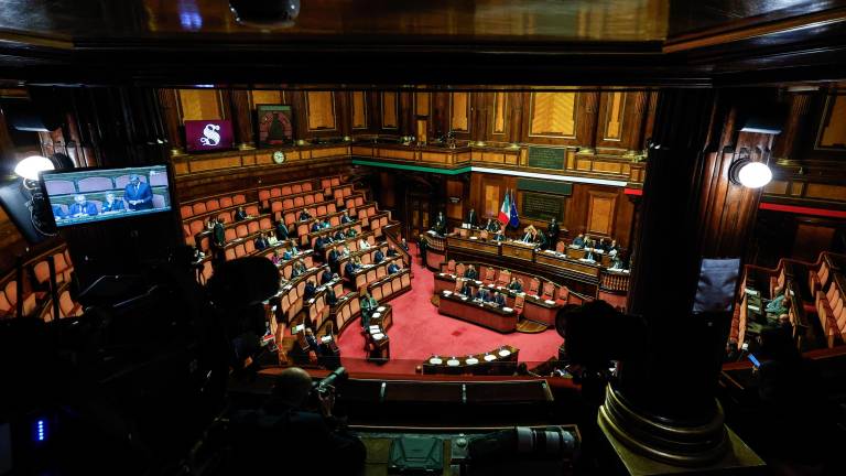 Vlada proti amandmaju DS o parlamentarnem zastopstvu Slovencev v Italiji