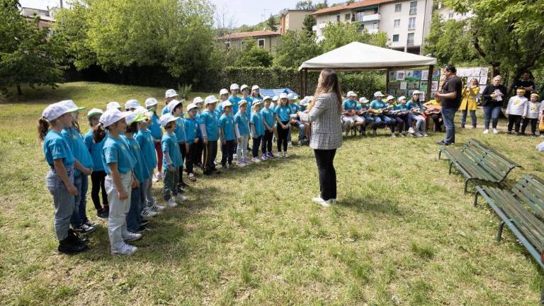 Javnost hočejo seznaniti, kako pomembne so čebele