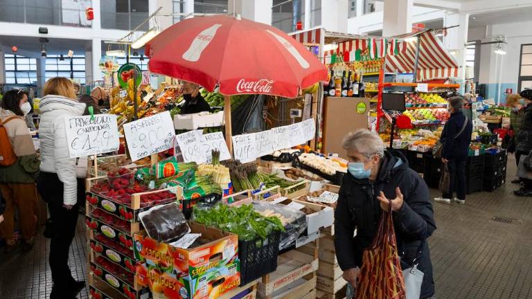 Pokrita tržnica bo postala Muzej okusa