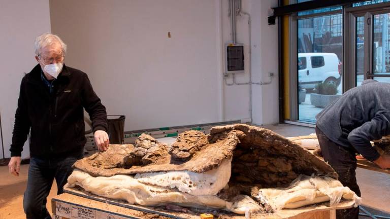 Pravi jurski park v malem