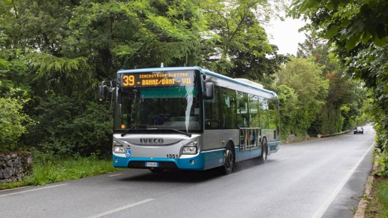Avtobus 51 bo spet povezal vzhodni Kras z mestom