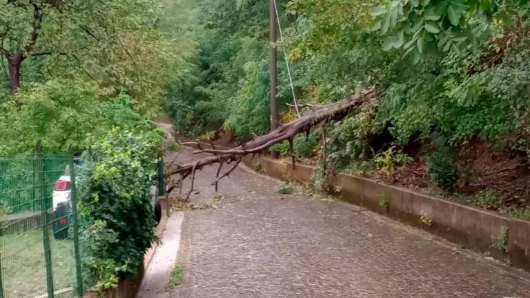 Zaradi močne burje na delu vse razpoložljive gasilske enote