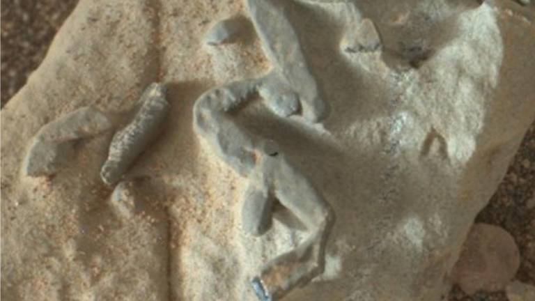 Fosile na Marsu raziskuje tudi Goričan
