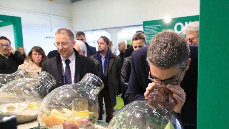 Na sejem Olio capitale vabi 170 proizvajalcev