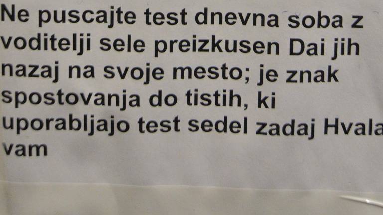 Googlova sloven&scaron;čina
