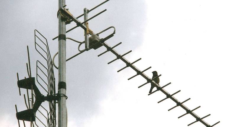 Televizijski signali se prekrivajo