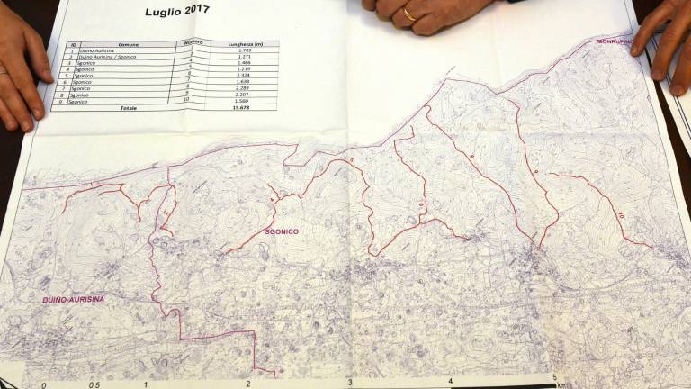 Urejali bodo gozdne poti