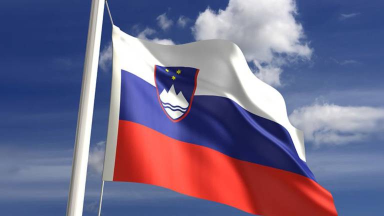 &raquo;Zastava slovenske manj&scaron;ine naj bo enaka zastavi Republike Slovenije&laquo;