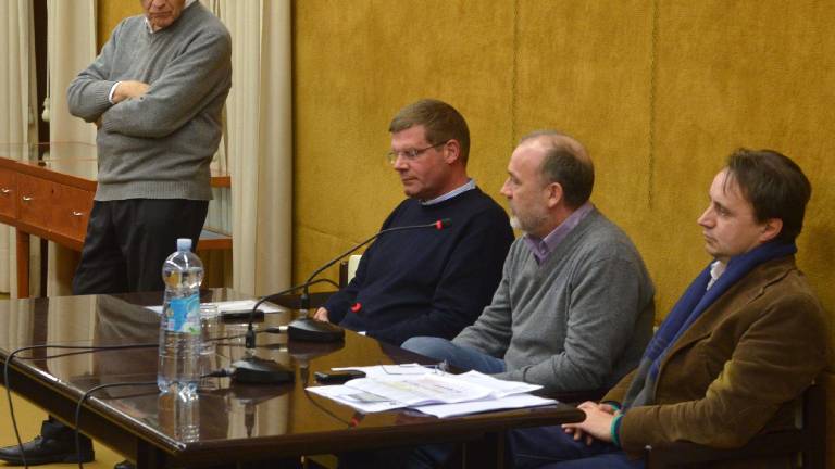Beppe Grillo čriček ali dejansko le lisica?