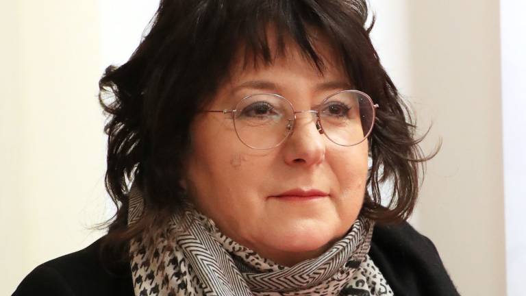 Senatorka Rojc ne more voditi Slovencev v DS