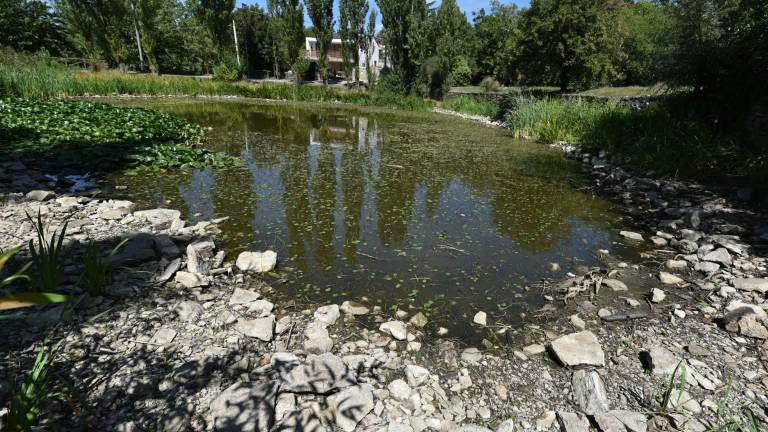 Dipiazza &raquo;izumil&laquo; re&scaron;itev za Mlako